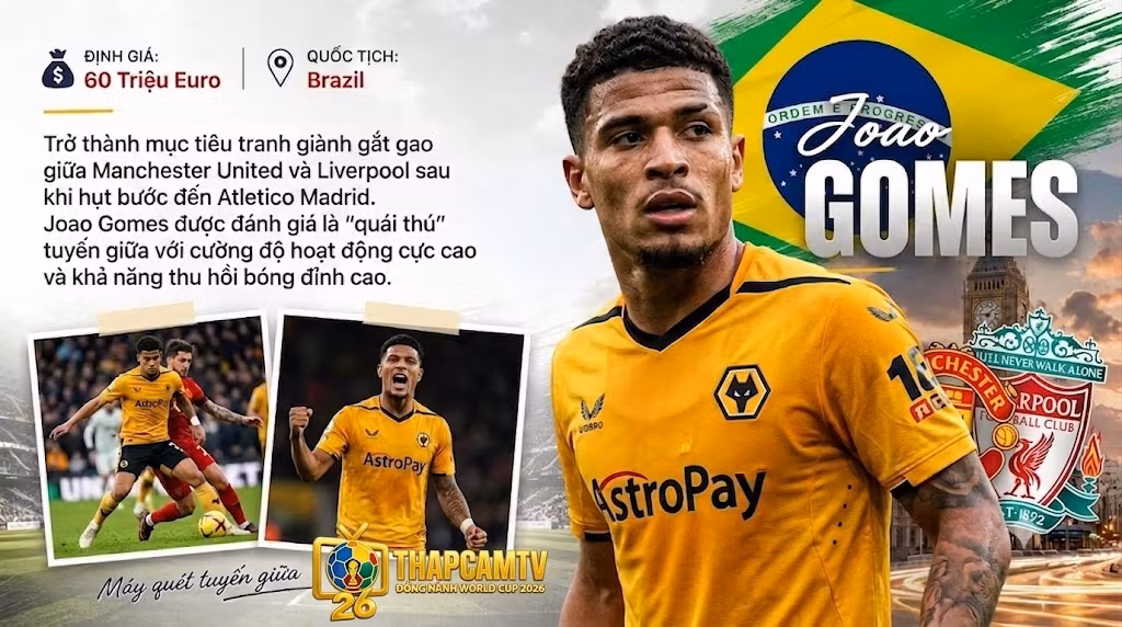 Tiền vệ Joao Gomes trở thành mục tiêu tranh giành gắt gao giữa Manchester United và Liverpool trong kỳ chuyển nhượng mùa hè.
